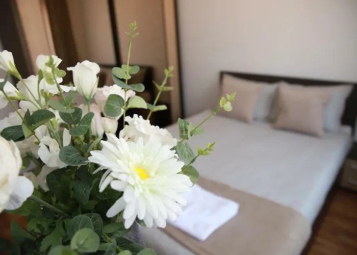 Cozy Apartment In Brasov