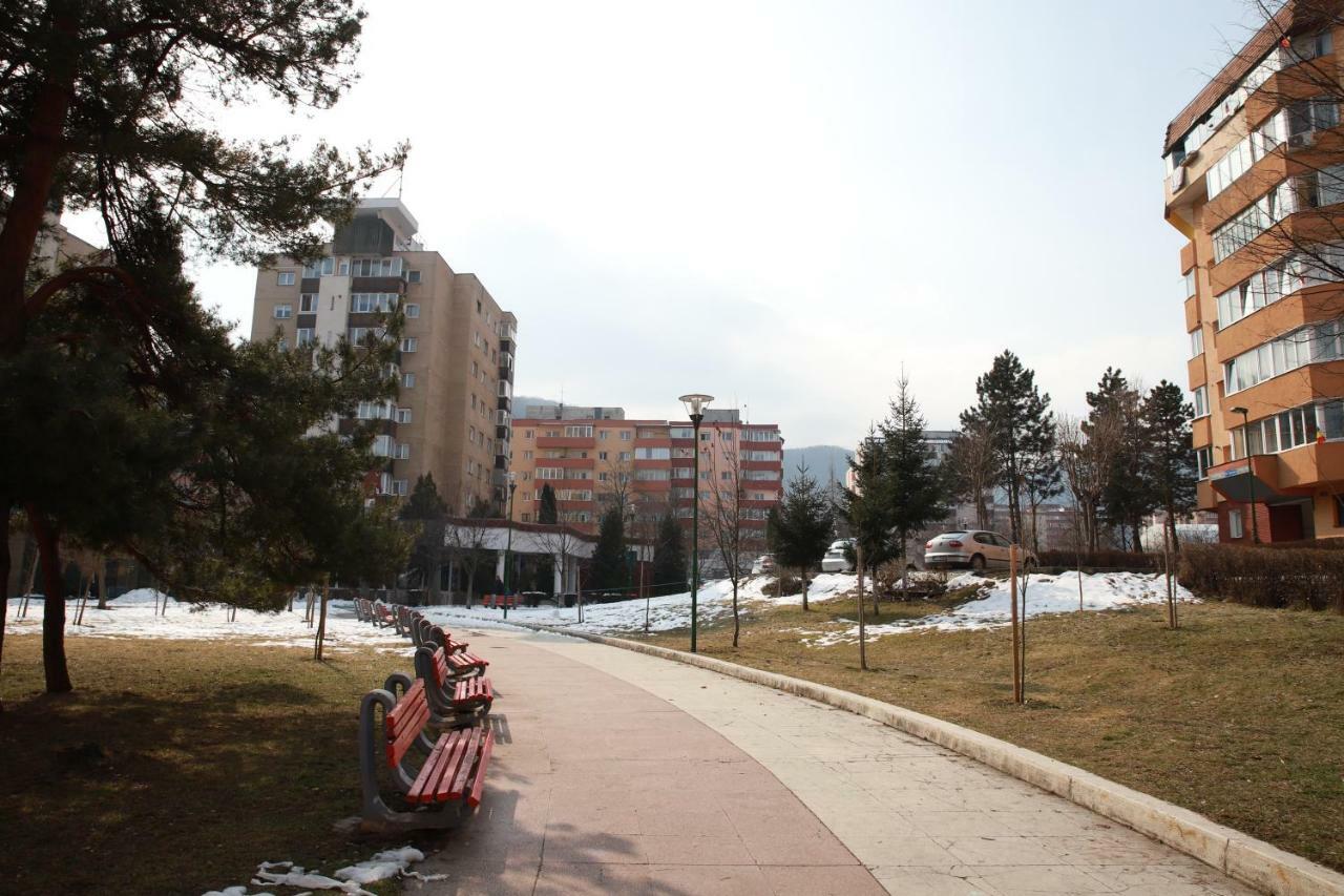 Cozy In Brasov